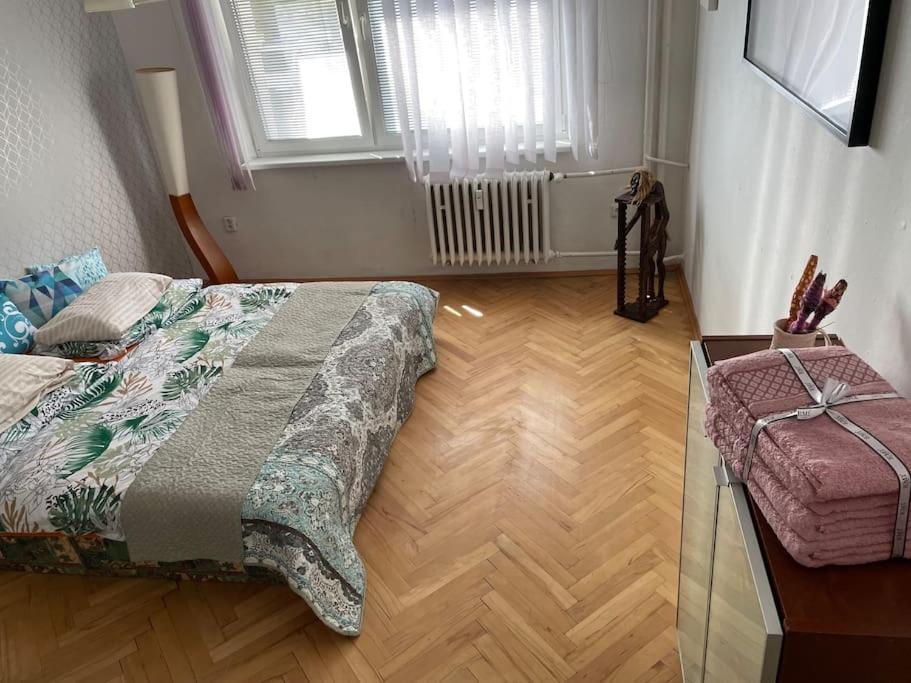 2,5 Izbovy Apartman V Ruzinove S Parkovanim Zdarma 布拉迪斯拉发 外观 照片