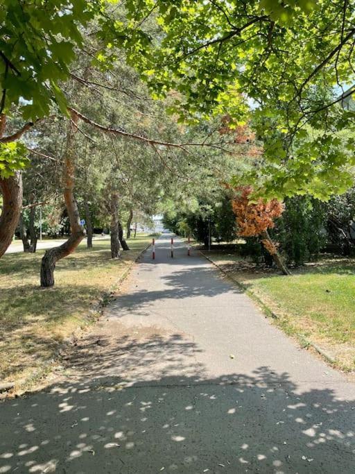 2,5 Izbovy Apartman V Ruzinove S Parkovanim Zdarma 布拉迪斯拉发 外观 照片